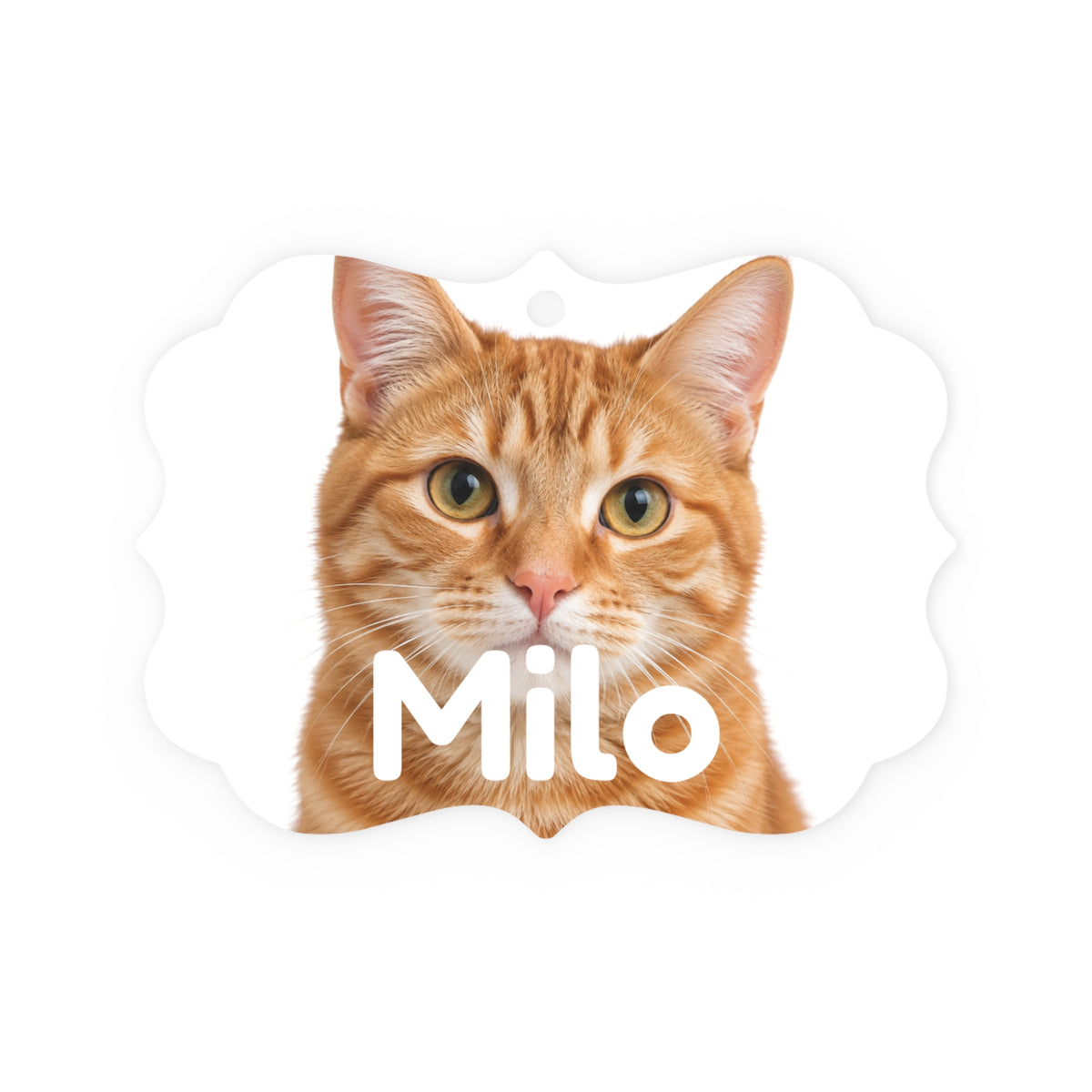 Personalised Pet Memorial Plaque Ornament – Custom Photo & Name Keepsake