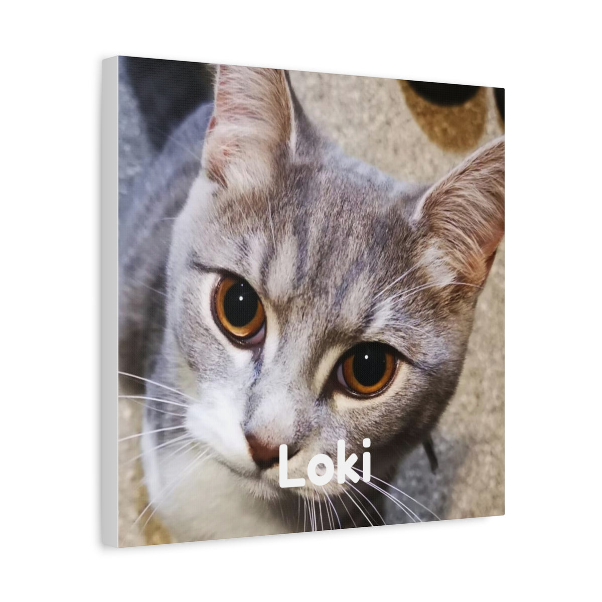 Personalised Pet Portrait Canvas – Custom Cat & Dog Wall Art
