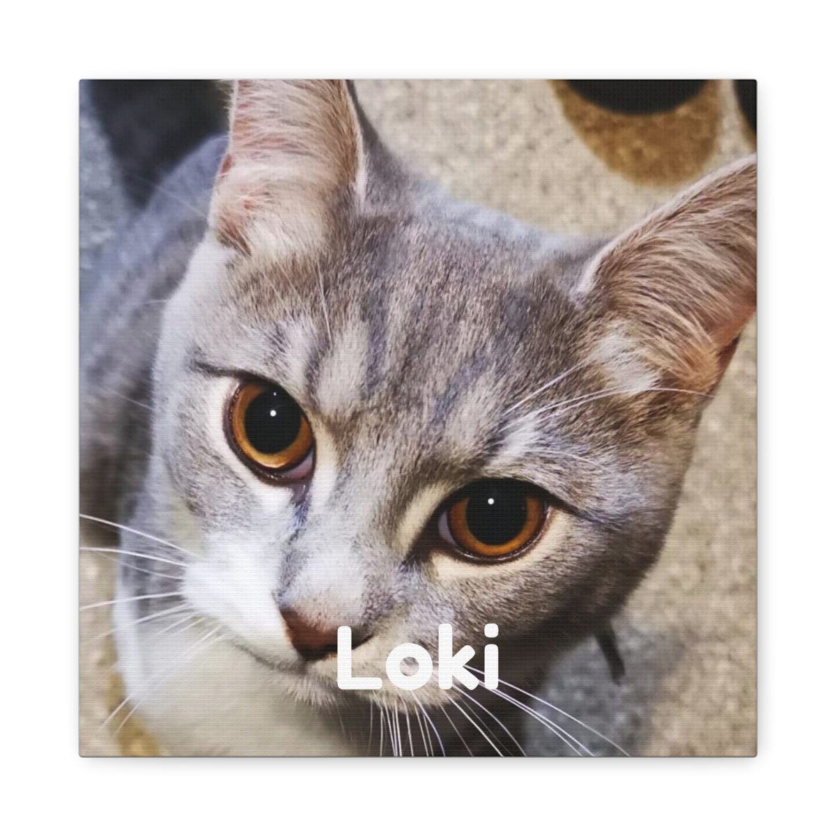Personalised Pet Portrait Canvas – Custom Cat & Dog Wall Art